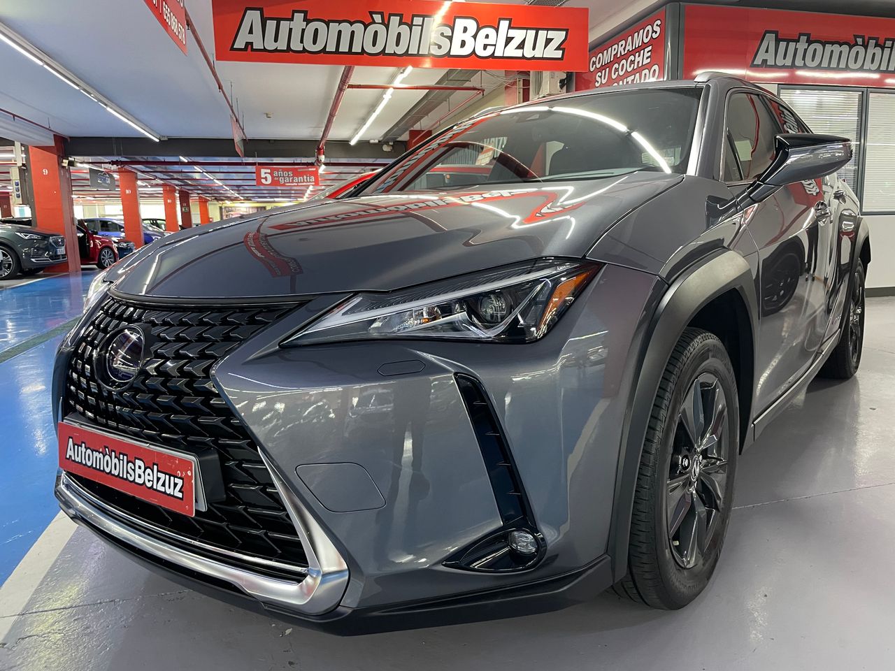 Foto Lexus UX 16