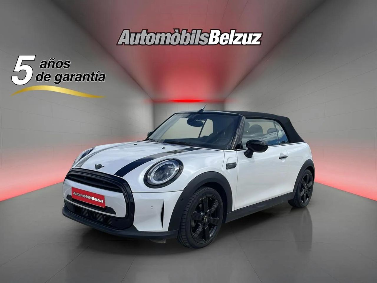 Foto Mini Cabrio 19