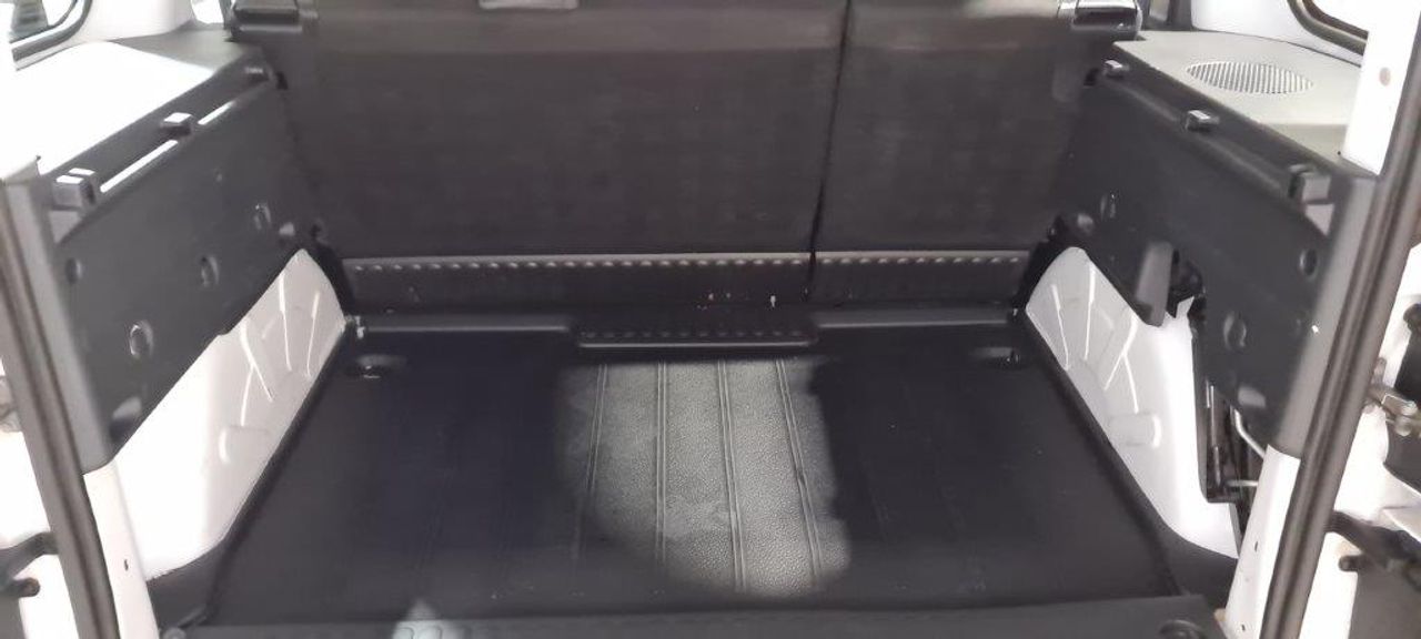 Foto Renault Kangoo 21