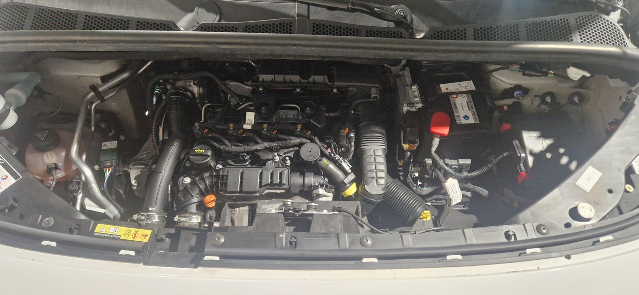 Foto Citroën Berlingo 15