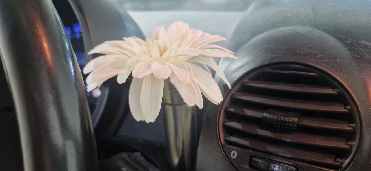 Foto Volkswagen Beetle 21