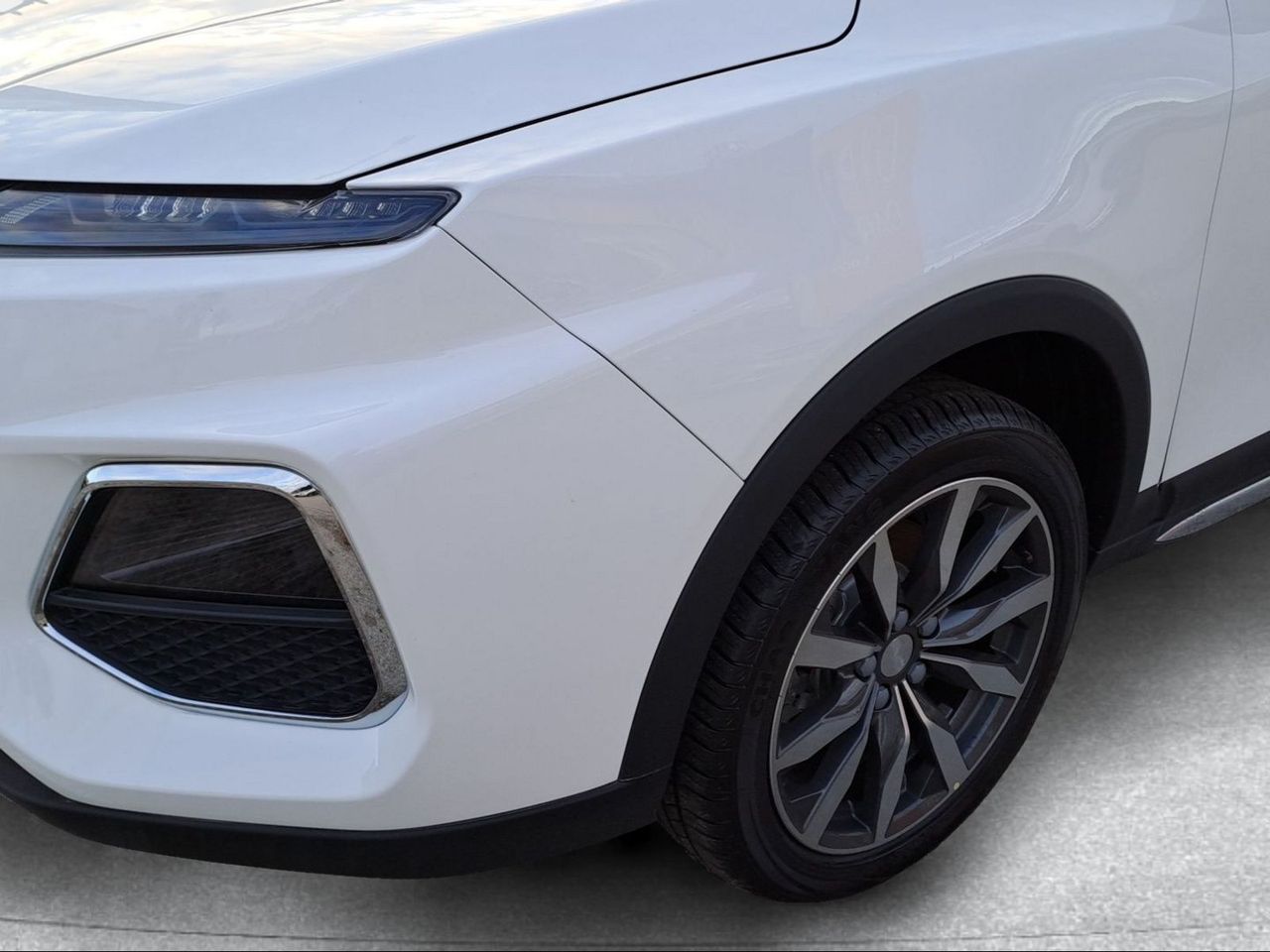 Foto EVO DS 4 6