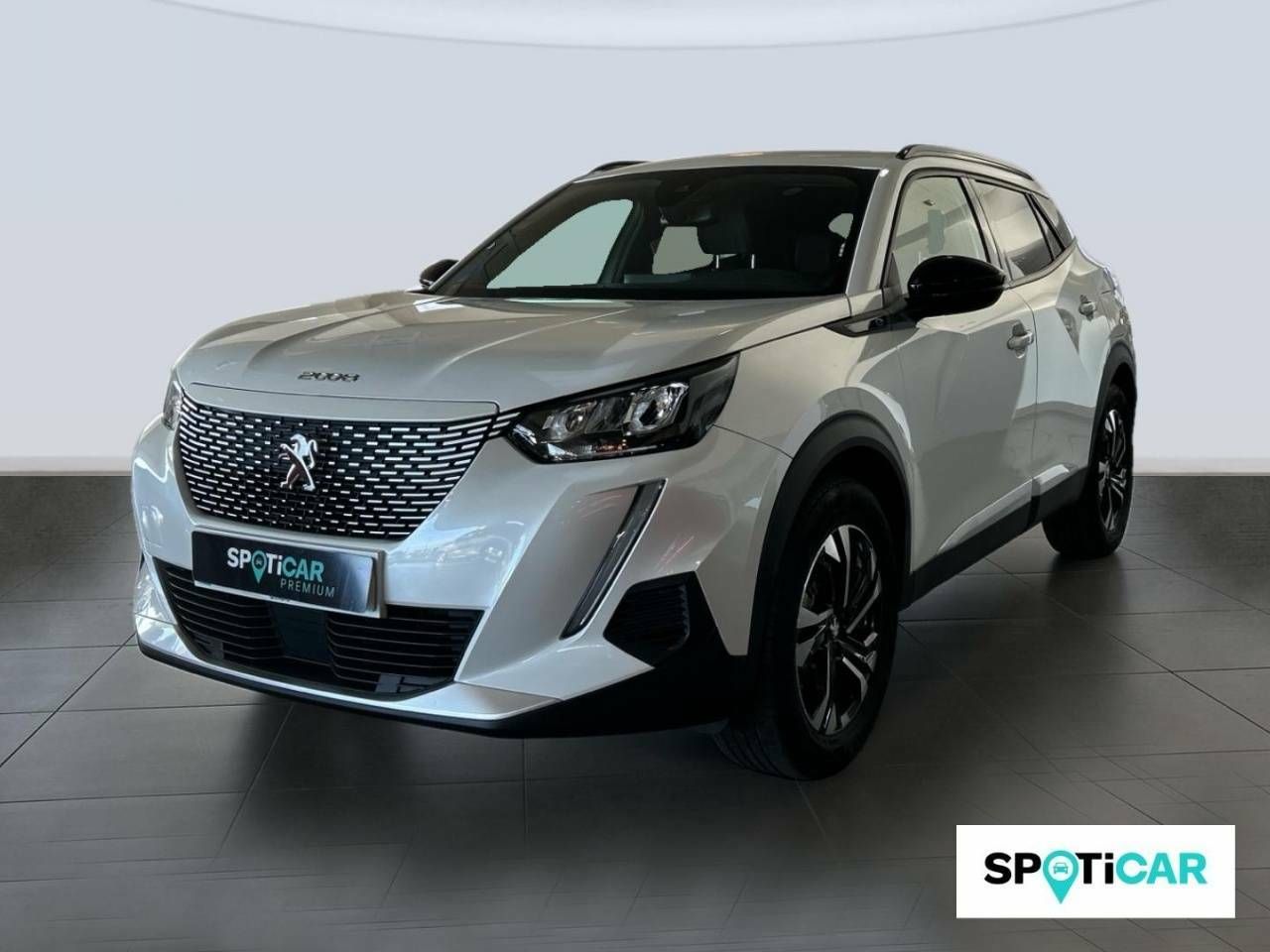 Foto Peugeot 2008 1
