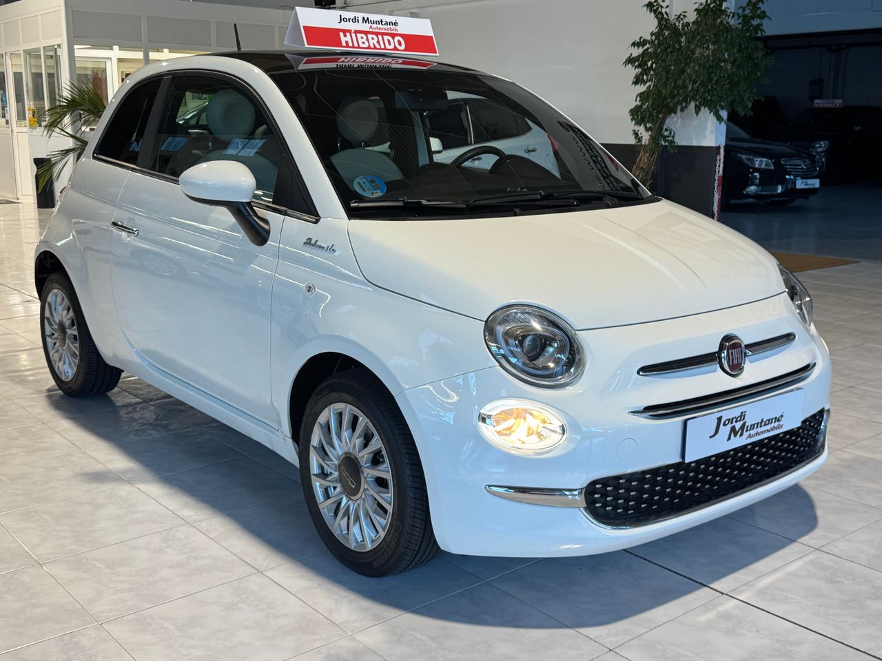 Foto Fiat 500 7