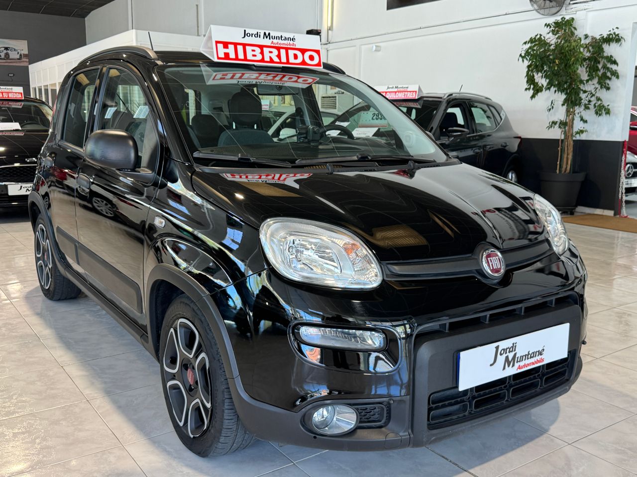 Foto Fiat Panda 6