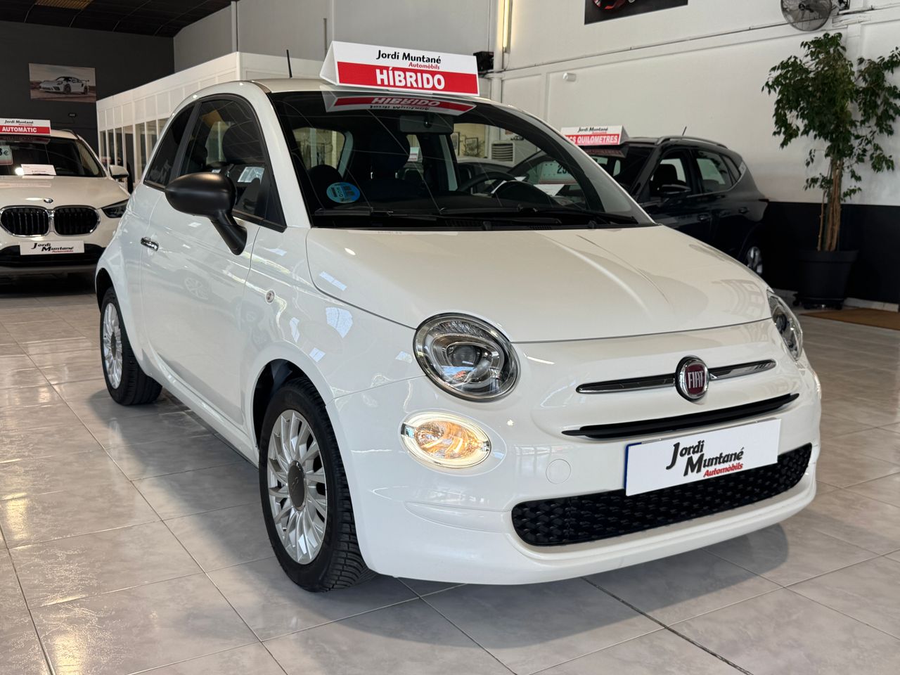 Foto Fiat 500 6