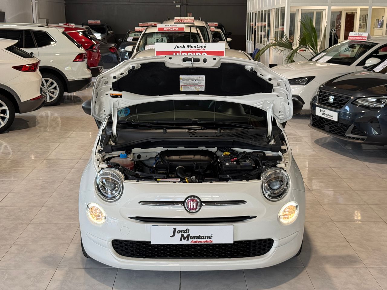 Foto Fiat 500 32