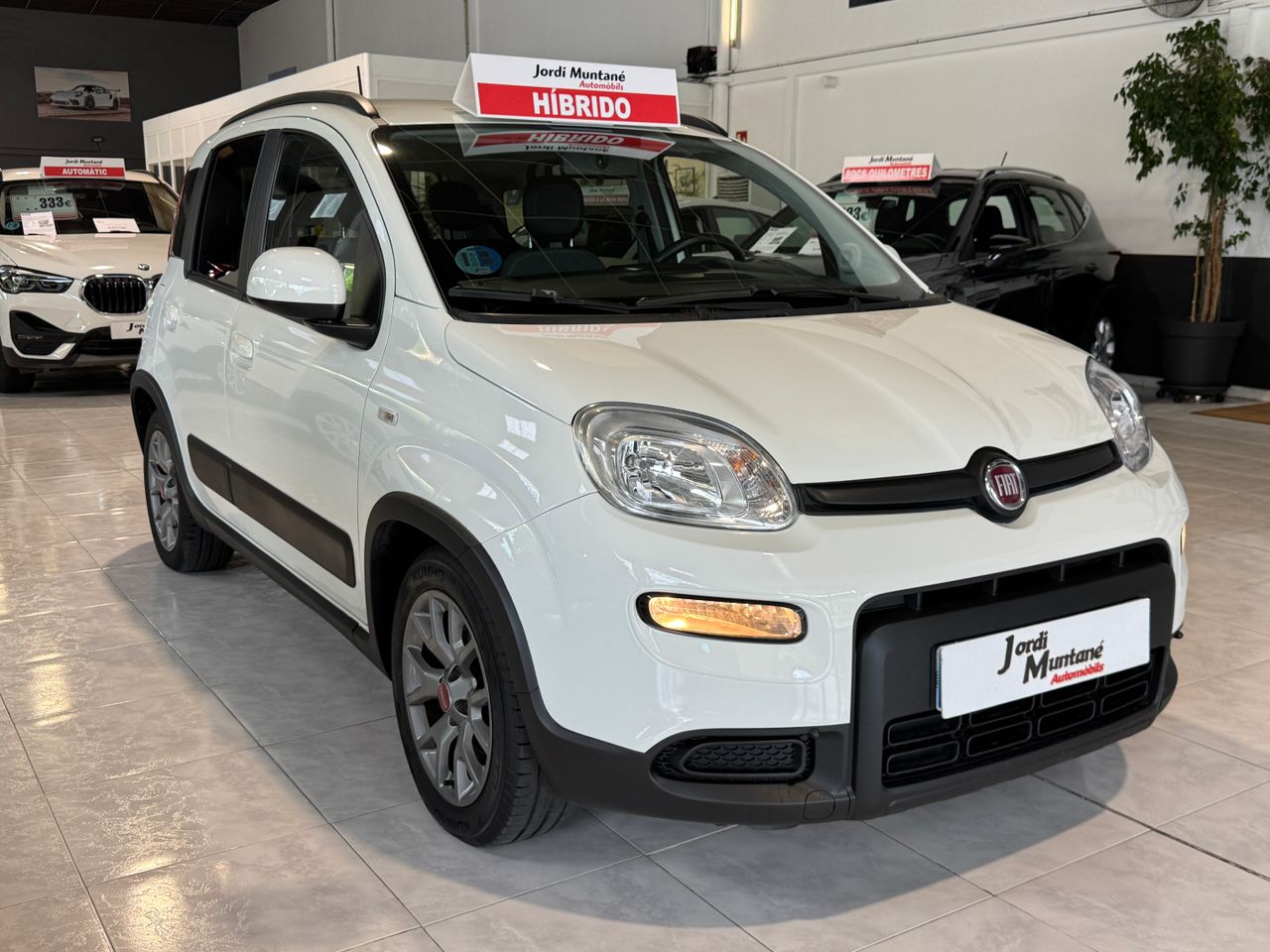 Foto Fiat Panda 6