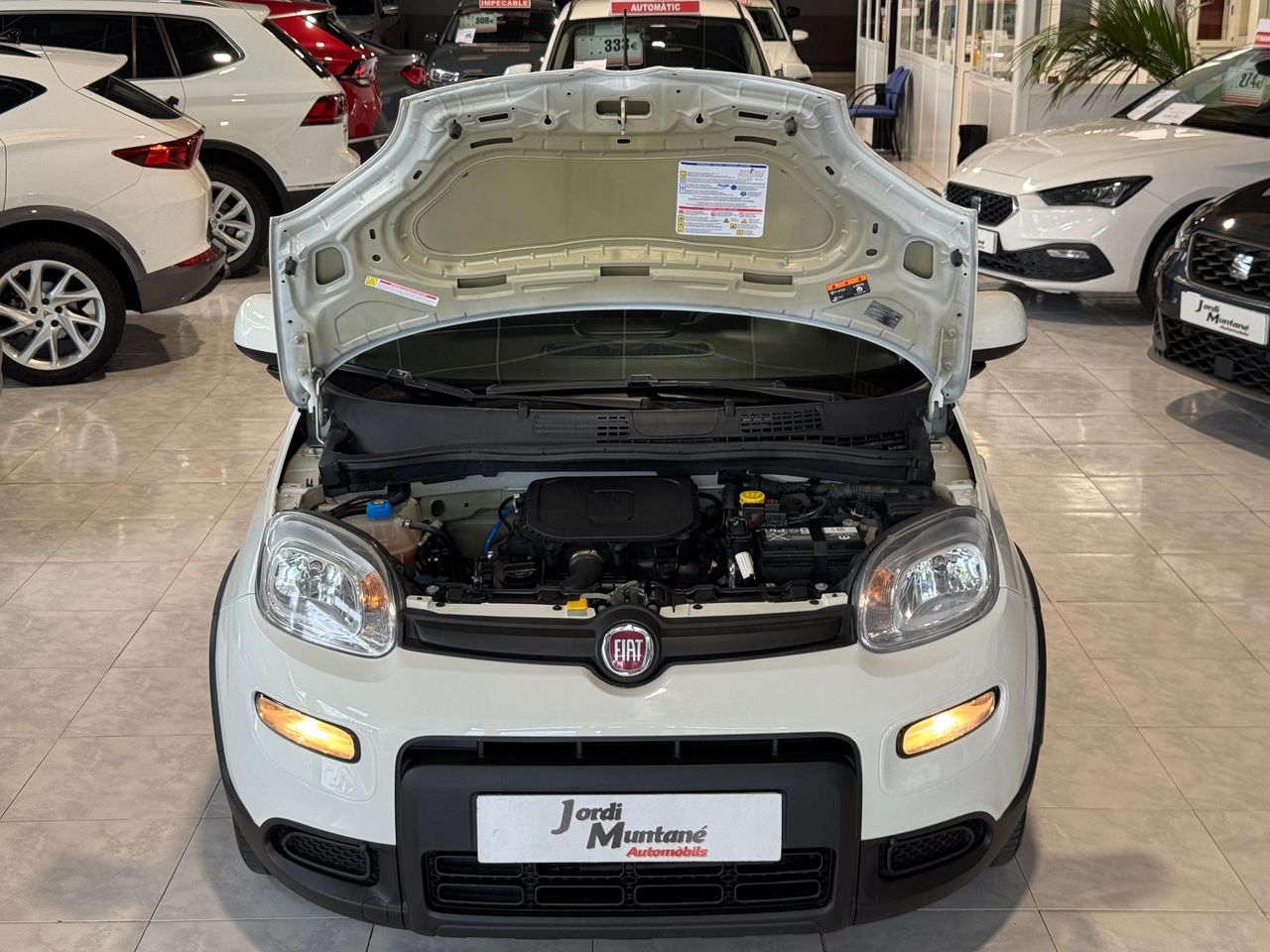 Foto Fiat Panda 33
