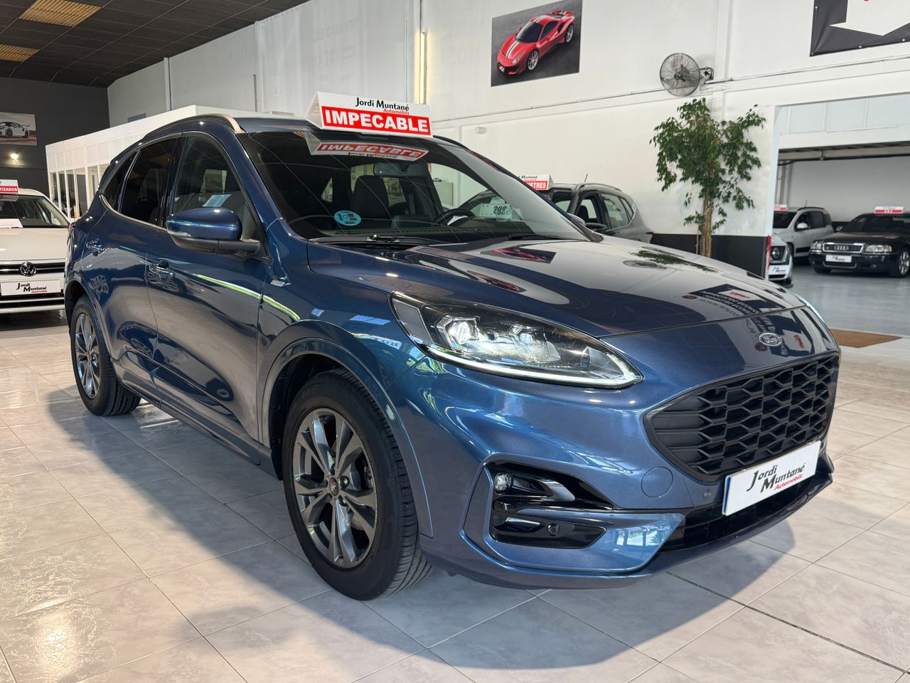 Foto Ford Kuga 6