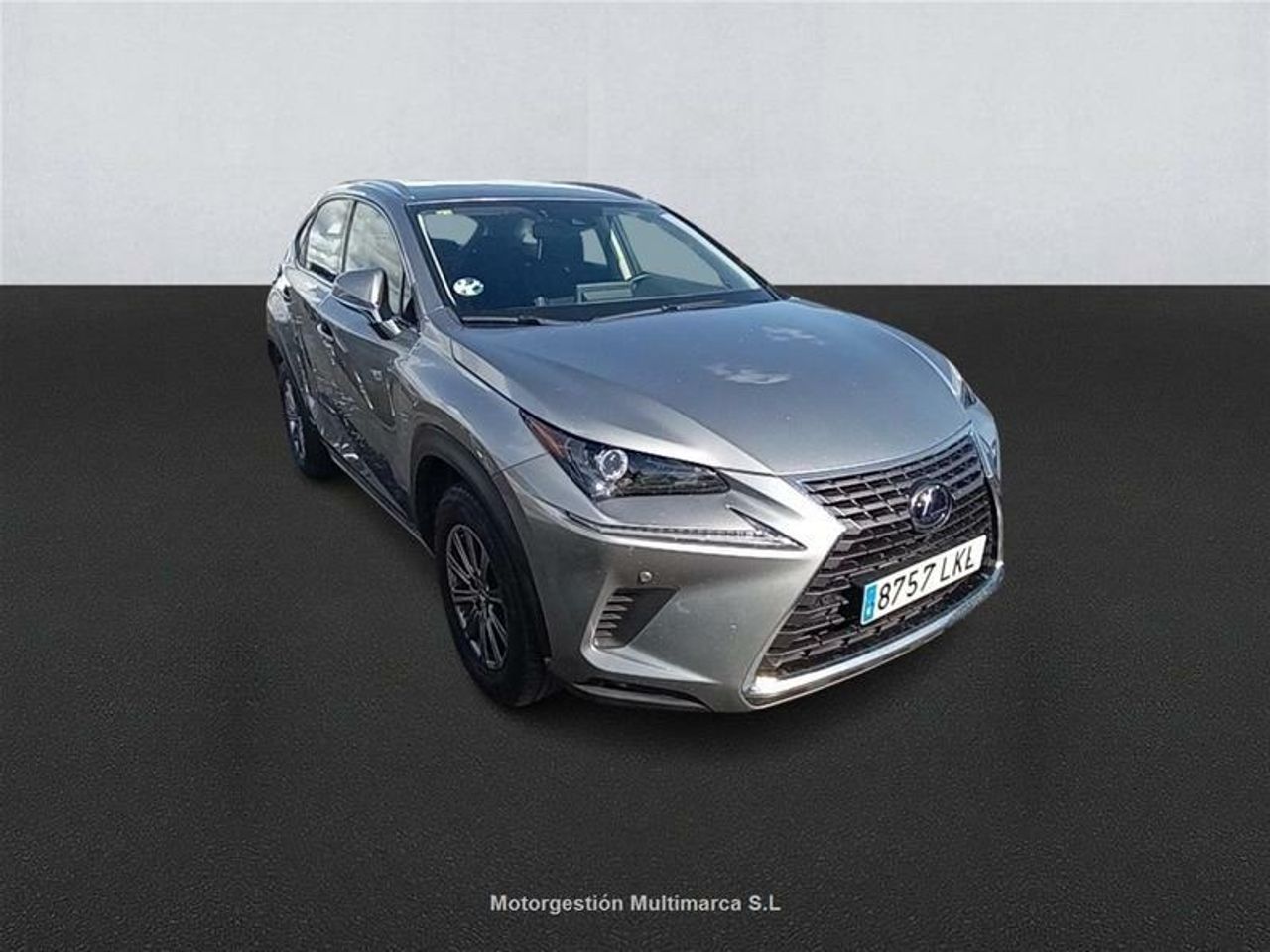 Foto Lexus NX 3