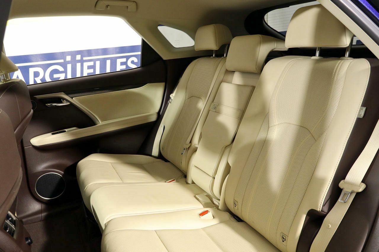 Foto Lexus RX 20
