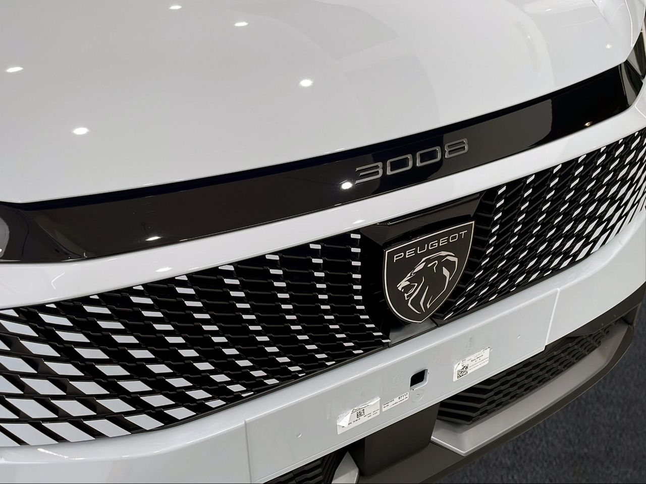 Foto Peugeot 3008 22