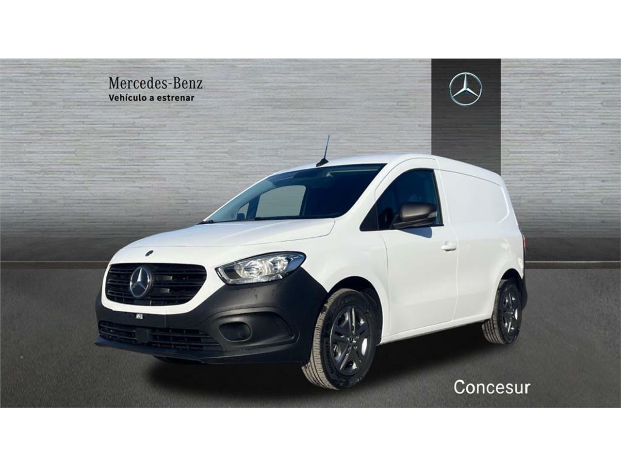 Foto Mercedes-Benz Citan 1