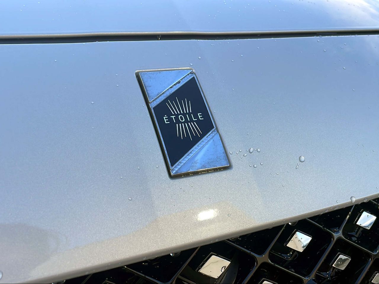 Foto DS Automobiles DS 7 22