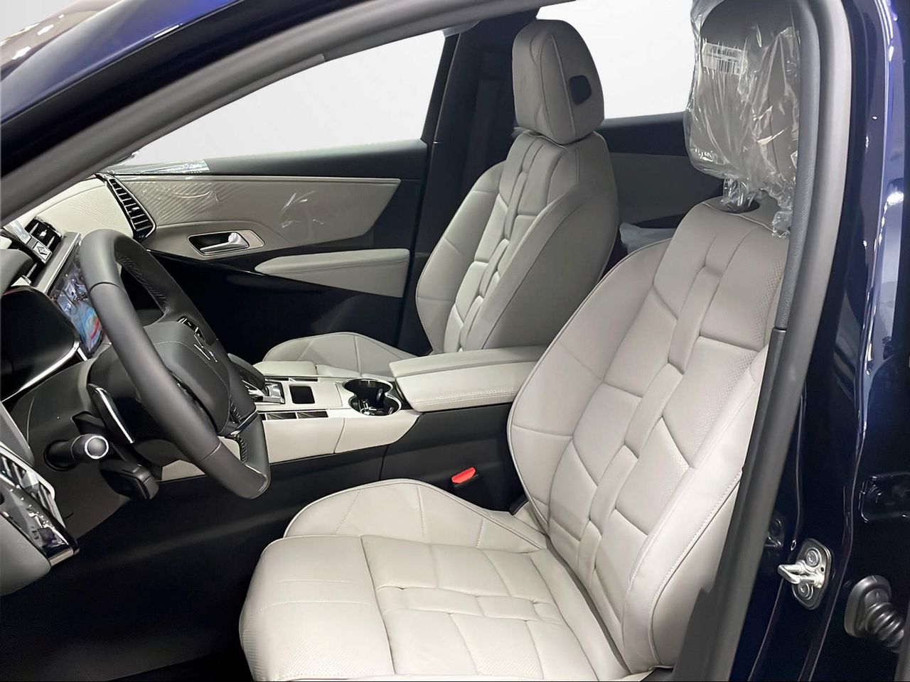 Foto DS Automobiles DS 7 11