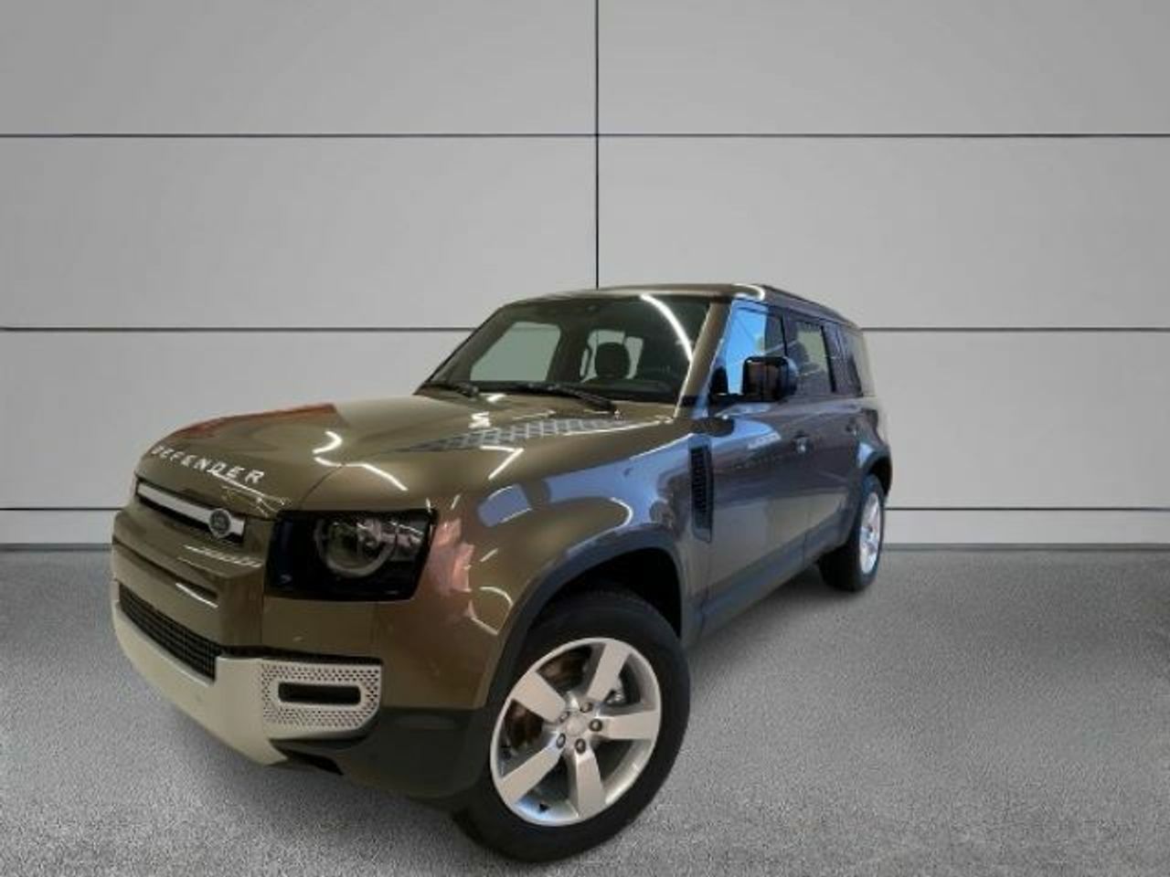 Foto Land-Rover Defender 1