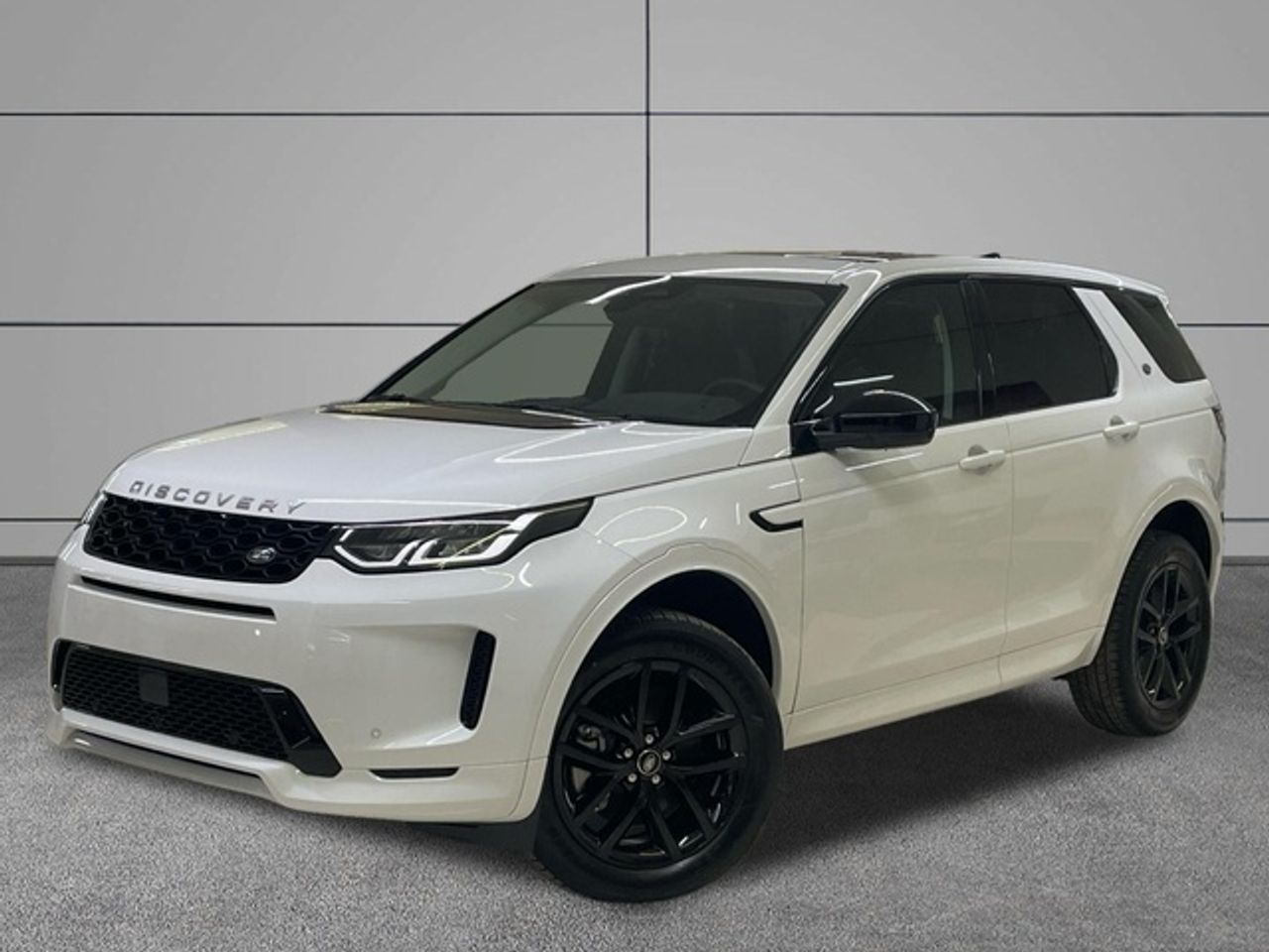 Foto Land-Rover Discovery Sport 1