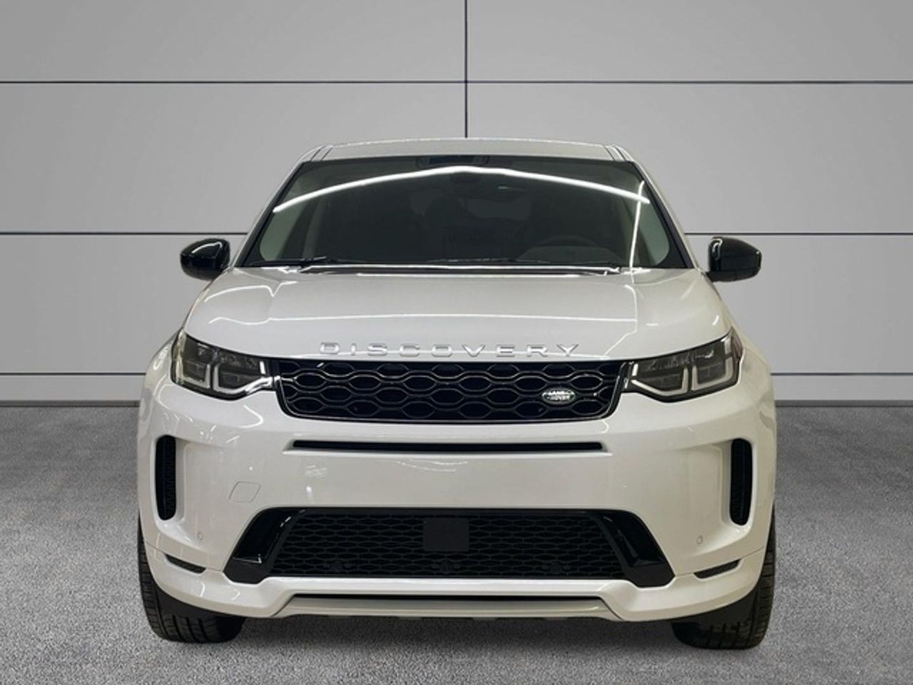 Foto Land-Rover Discovery Sport 2