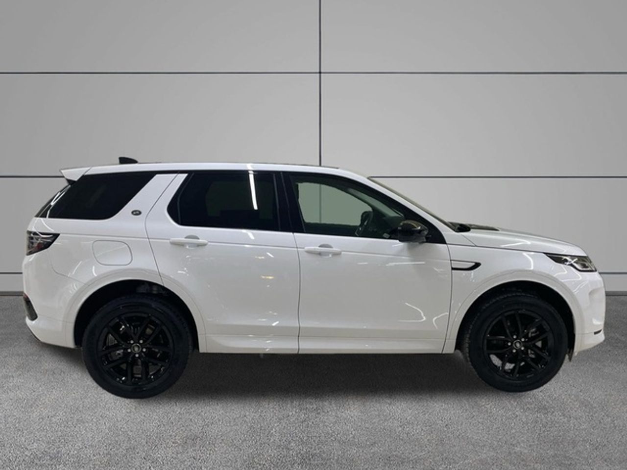 Foto Land-Rover Discovery Sport 3