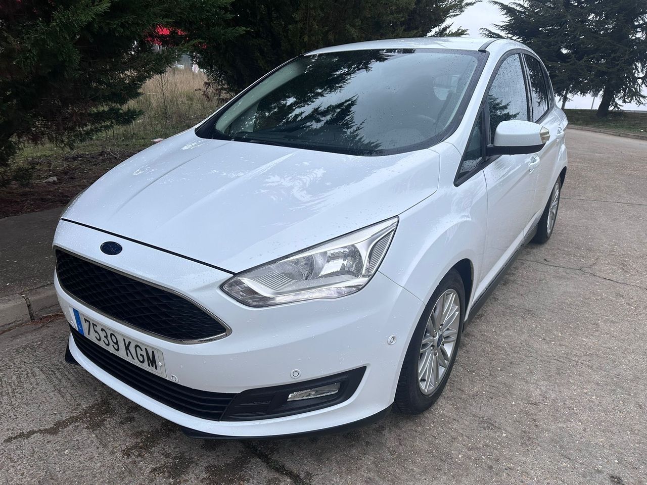 Foto Ford C-Max 3
