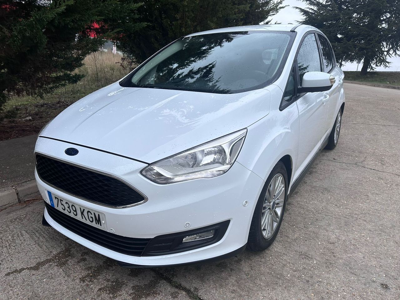 Foto Ford C-Max 6