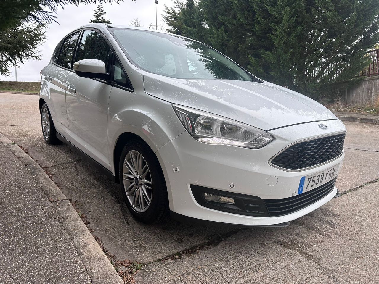 Foto Ford C-Max 7