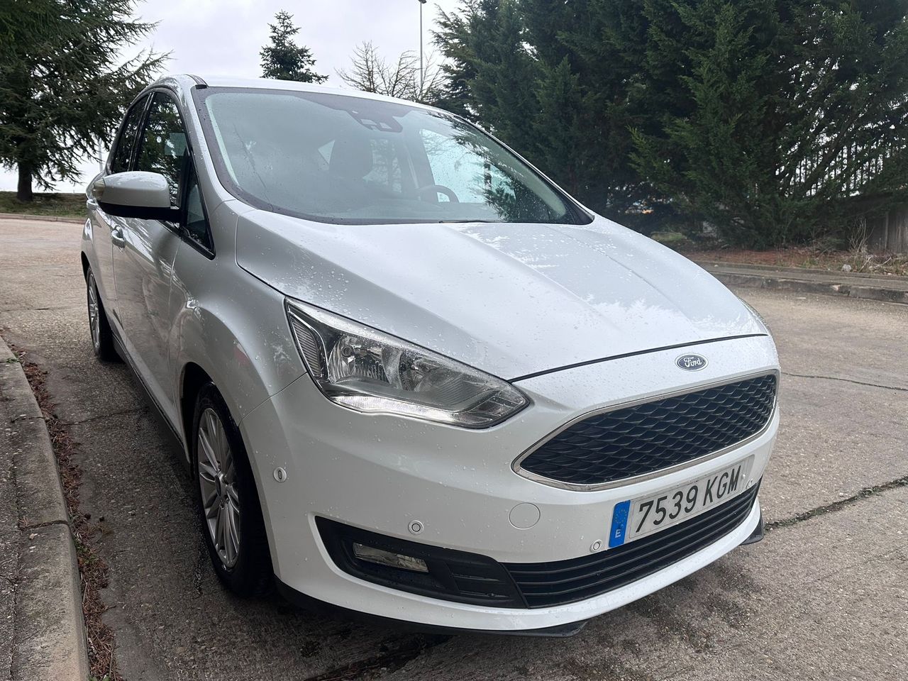 Foto Ford C-Max 9