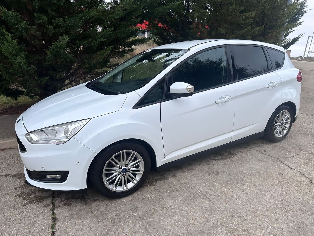 Foto Ford C-Max 21