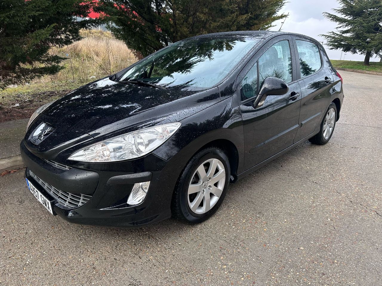 Foto Peugeot 308 24