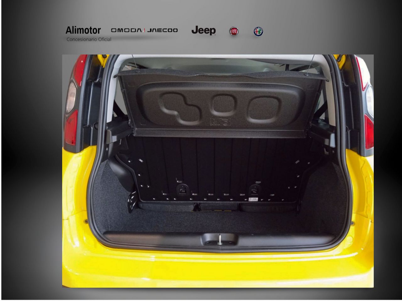 Foto Fiat Panda 6