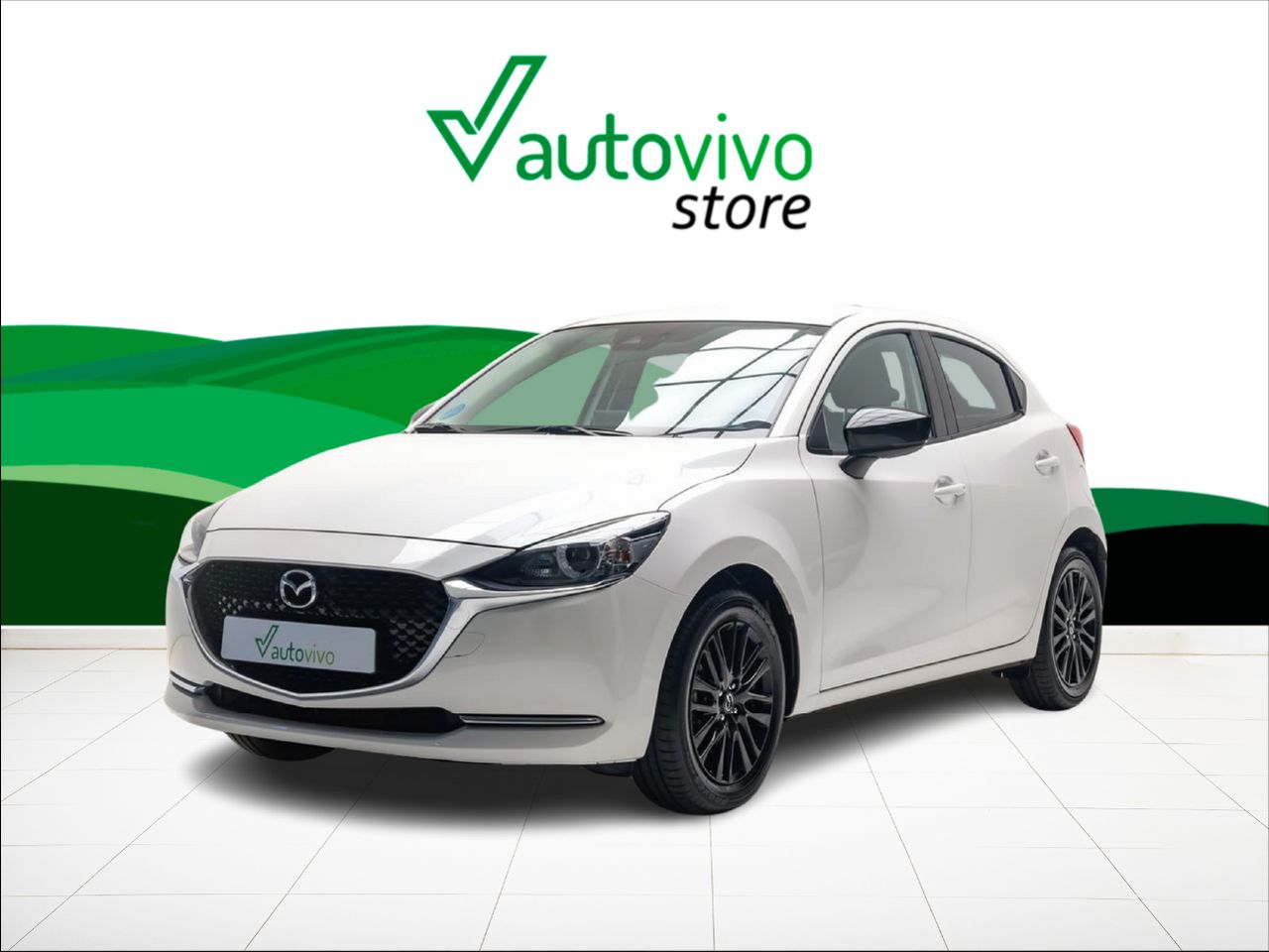 Foto Mazda Mazda2 11