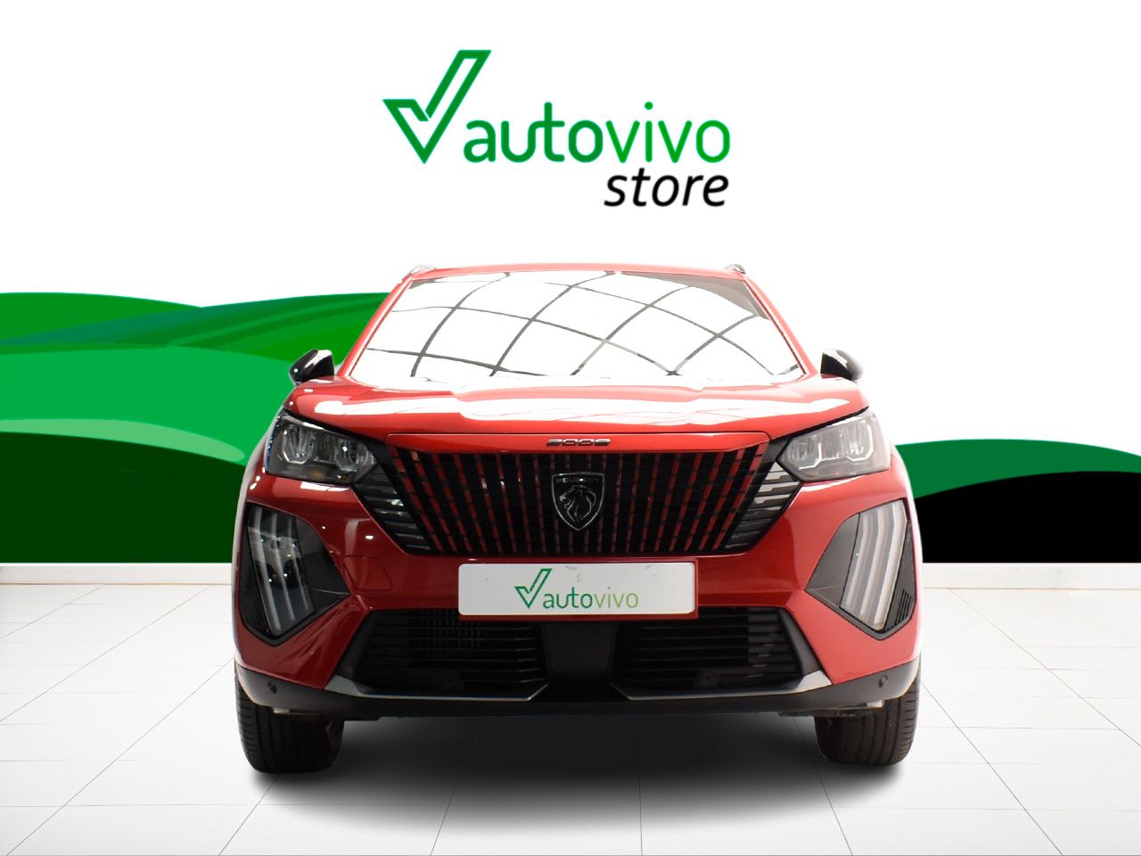 Foto Peugeot 2008 4