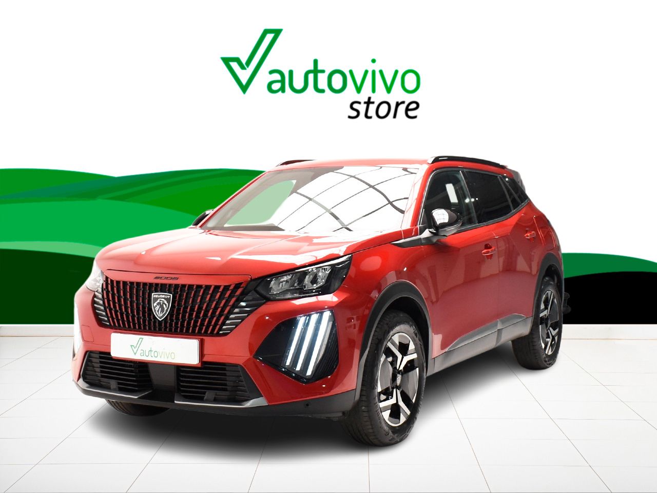 Foto Peugeot 2008 11