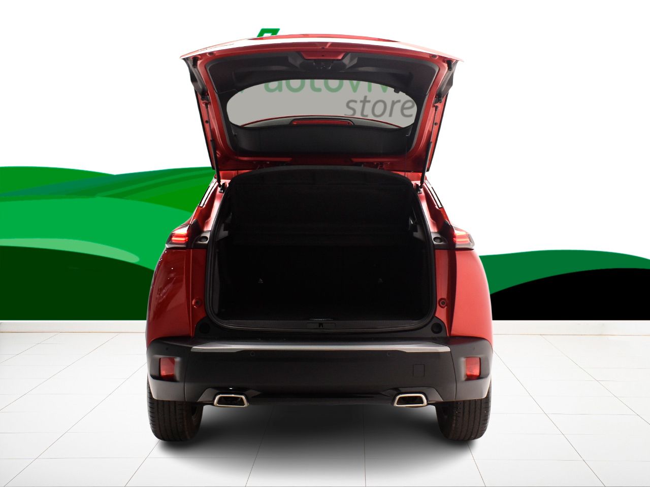 Foto Peugeot 2008 14
