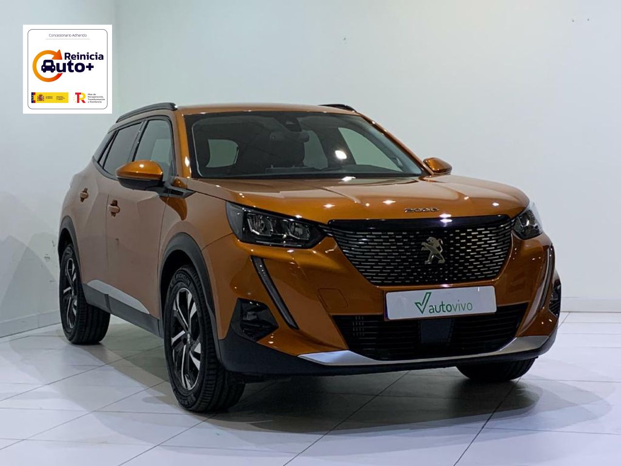 Foto Peugeot 2008 1