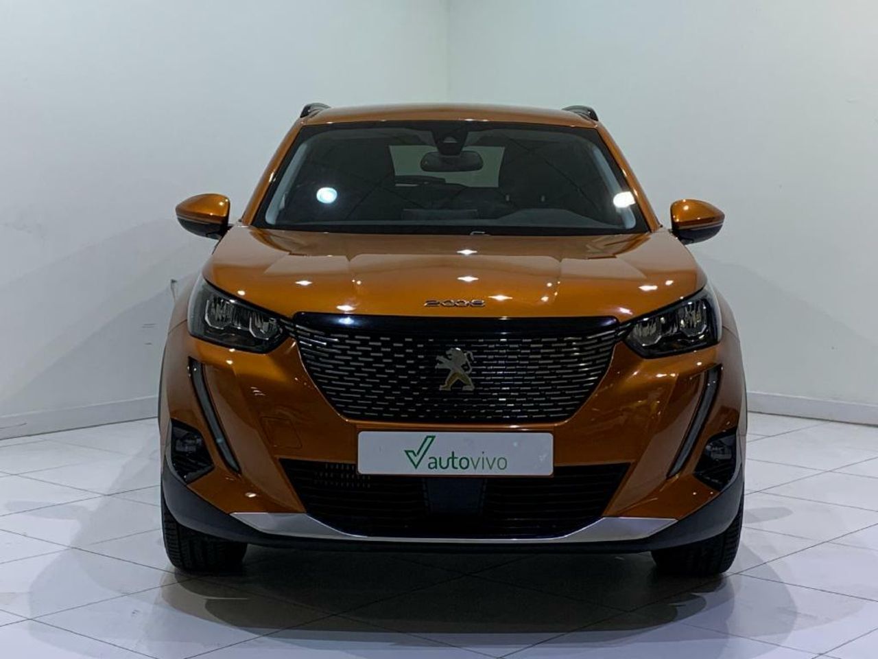 Foto Peugeot 2008 2