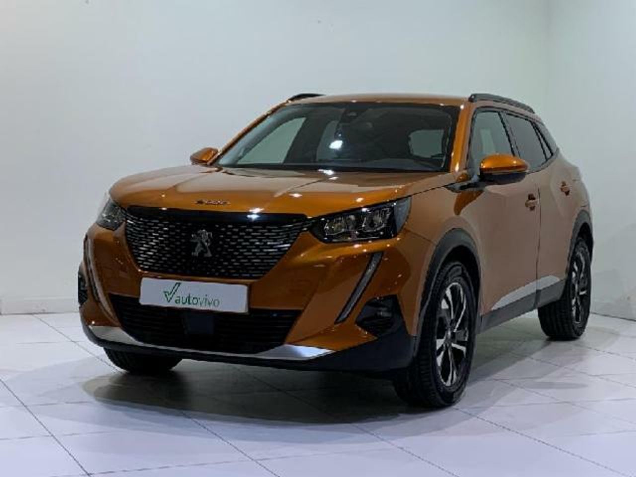 Foto Peugeot 2008 16