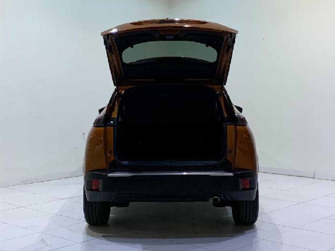 Foto Peugeot 2008 19