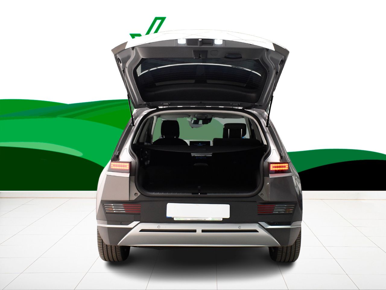 Foto Hyundai IONIQ 14