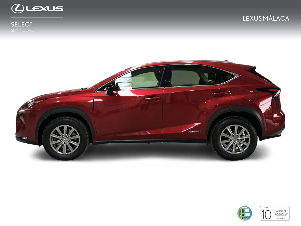 Foto Lexus NX 3