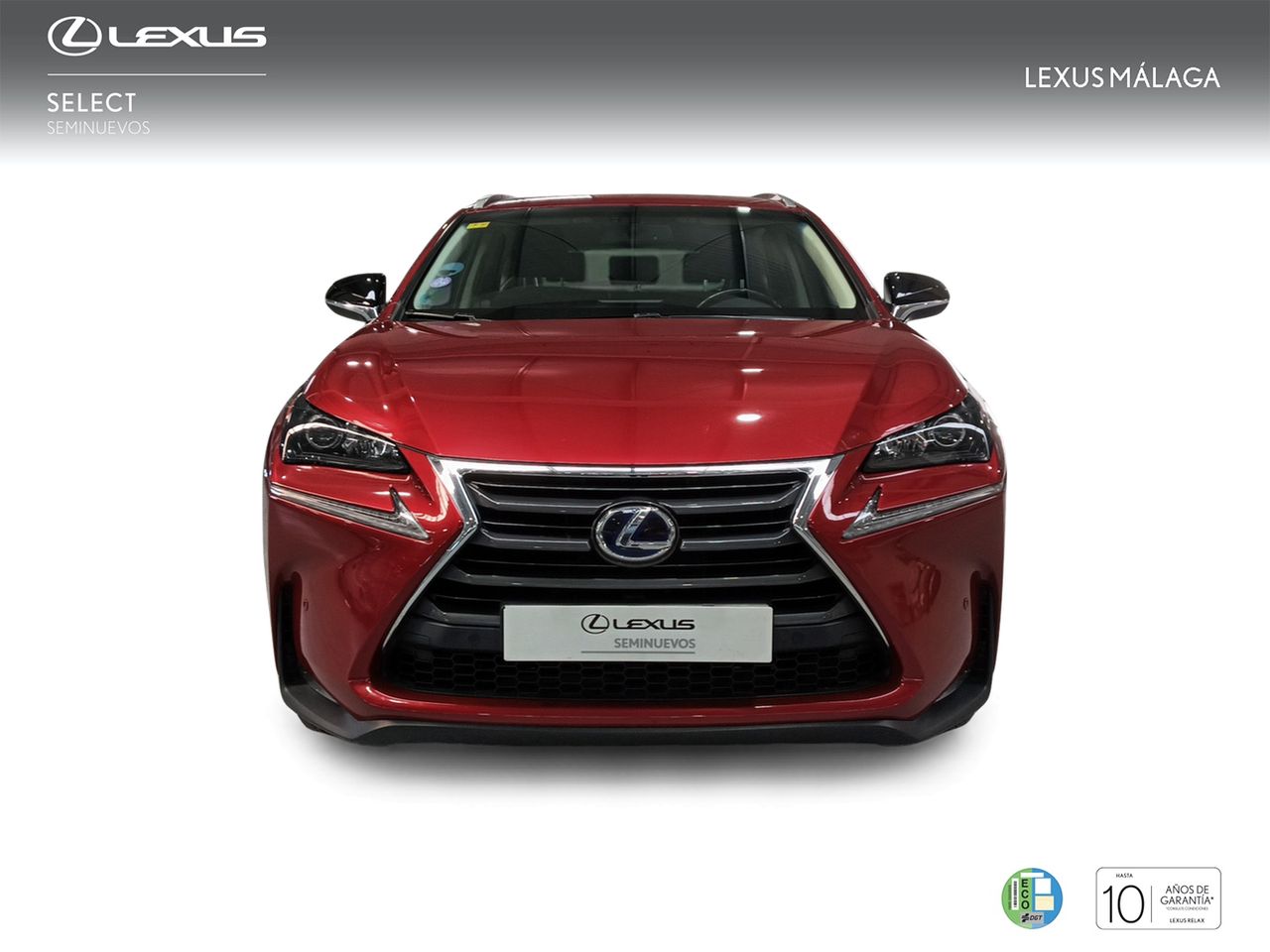 Foto Lexus NX 5