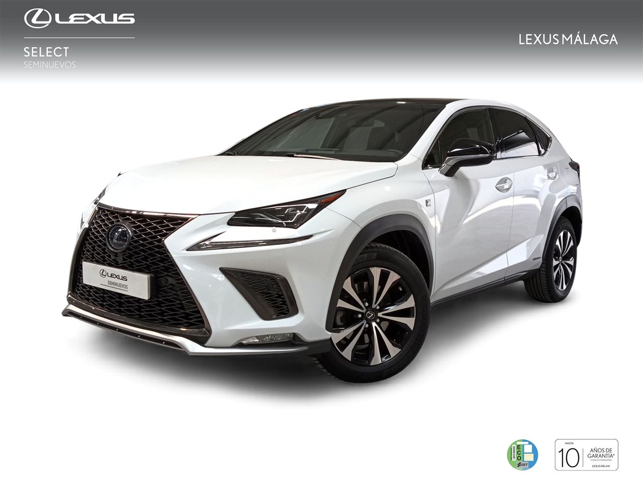 Foto Lexus NX 1