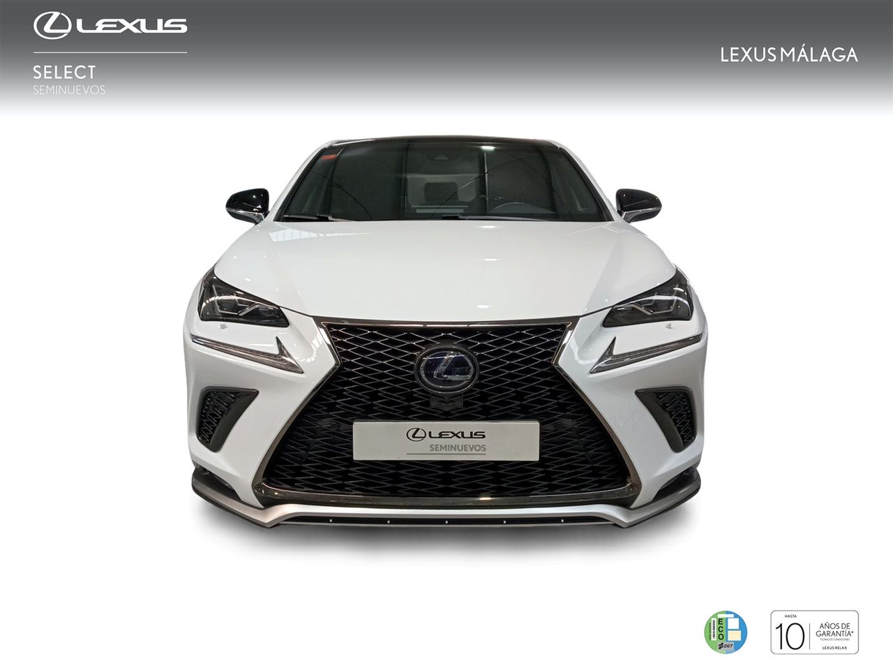 Foto Lexus NX 5