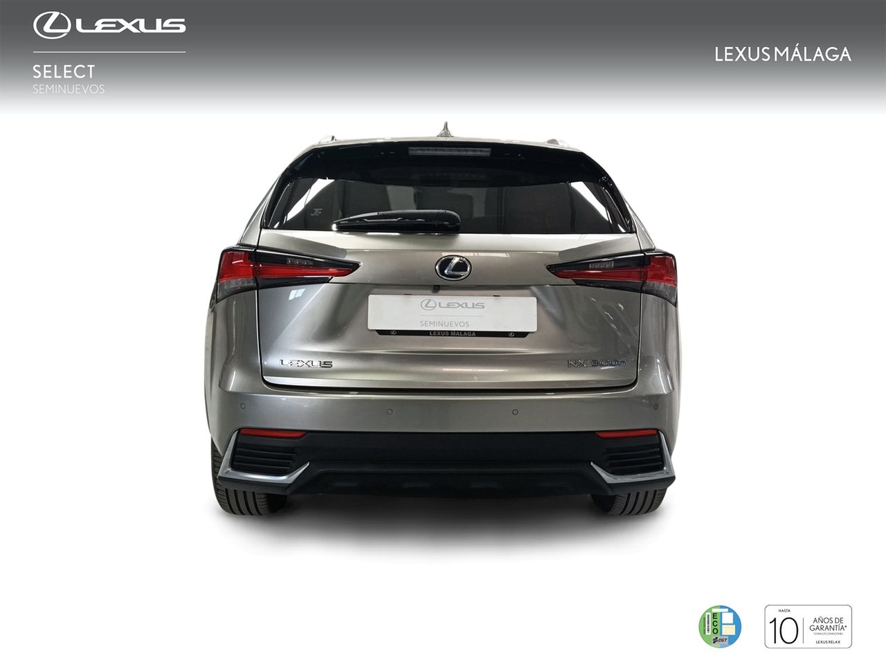 Foto Lexus NX 4