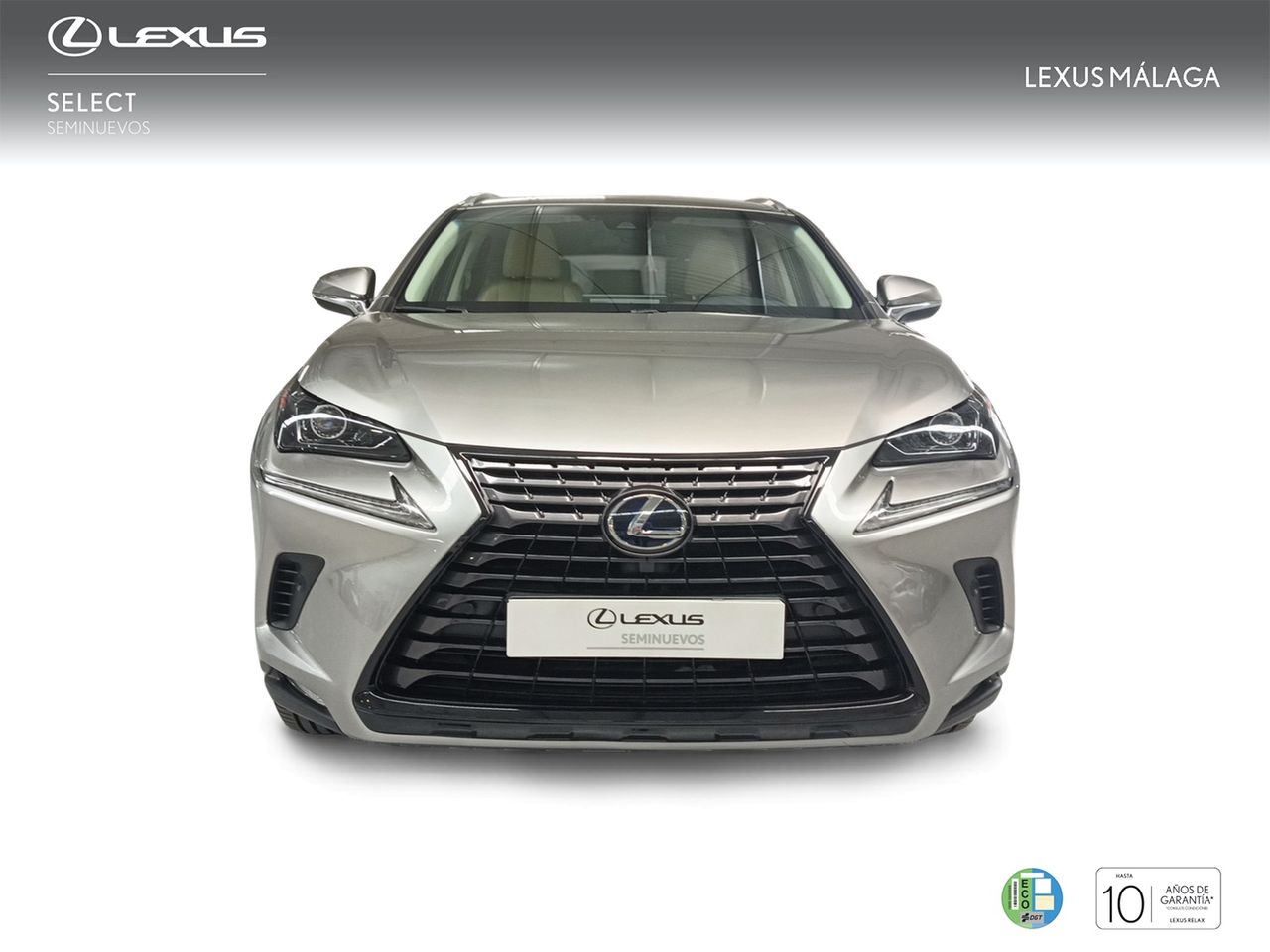 Foto Lexus NX 5