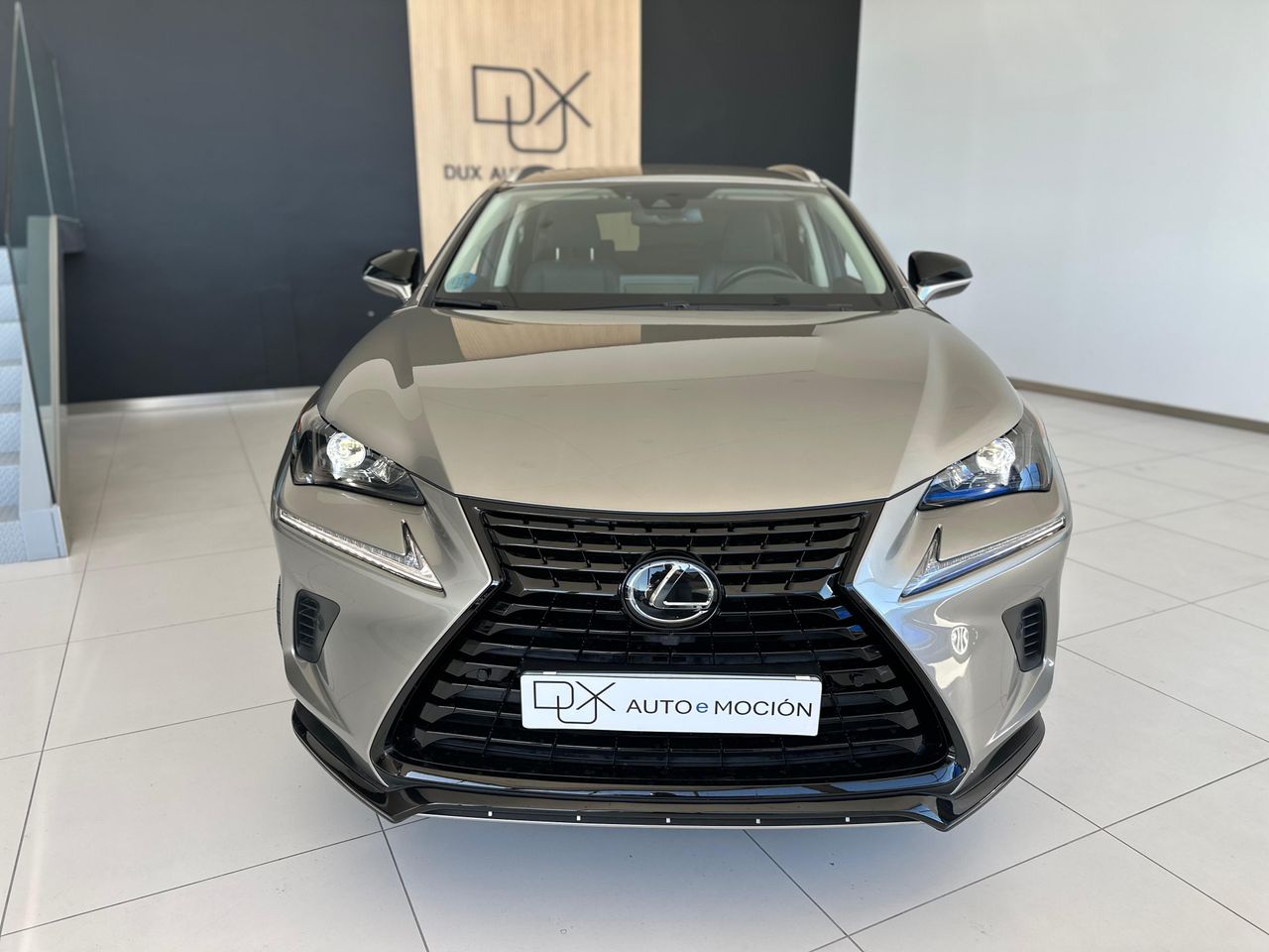 Foto Lexus NX 6