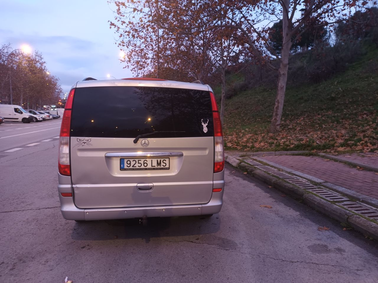 Foto Mercedes-Benz Viano 2