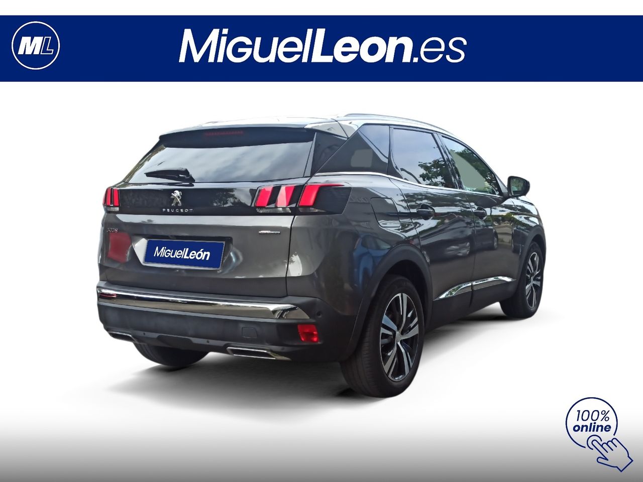 Foto Peugeot 3008 5