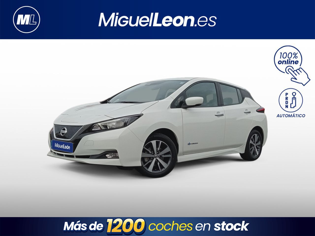 Foto Nissan Leaf 1